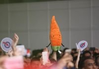 Election carrot