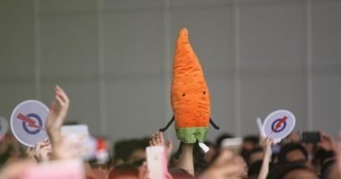 Election carrot